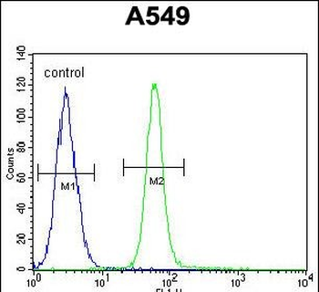 ZMYND10 Antibody (C-term)抗体，or