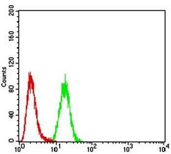 CALB2 Antibody抗体，orb229757，bio