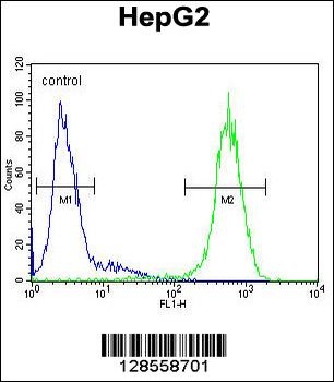 ICAM2 Antibody抗体，orb1270420，bi