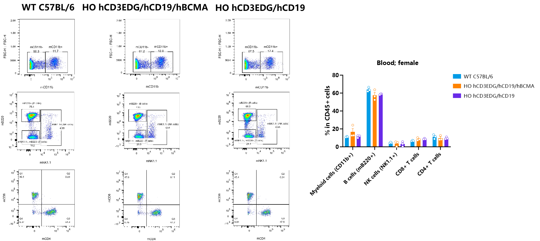 CD3/CD19/BCMA 从肿瘤免疫到自身免疫性疾病的多面利器