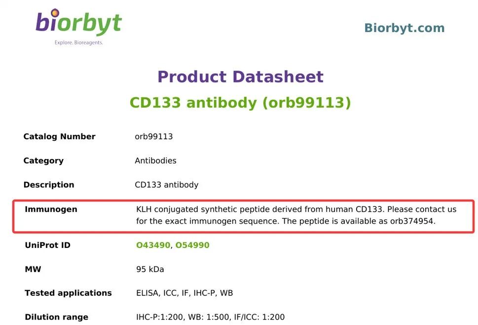 KLH偶联：为何成为抗体制备中“不可替代”的标配？