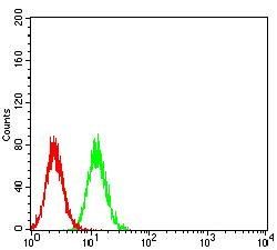 CALB2 Antibody抗体，orb379662，bio