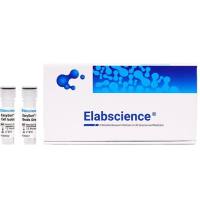 Elabscience 小鼠B细胞阴性分选试剂盒：98.7% 高纯度，解锁免疫研究新高度！