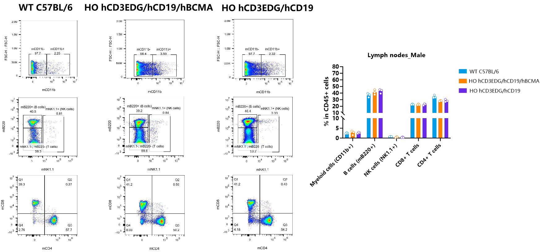 CD3/CD19/BCMA 从肿瘤免疫到自身免疫性疾病的多面利器