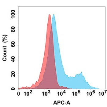 CD37 Antibody抗体，orb1174004，bio
