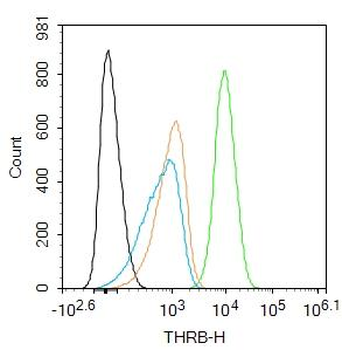 THRB Rabbit Polyclonal Antibod
