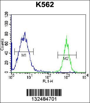 PTMS Antibody抗体，orb1269362，bio