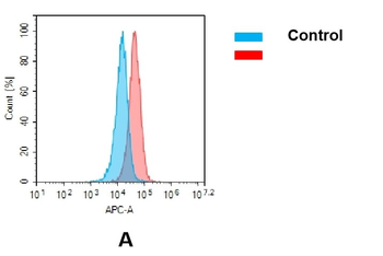 AXL Biosimilar Antibody抗体，orb7
