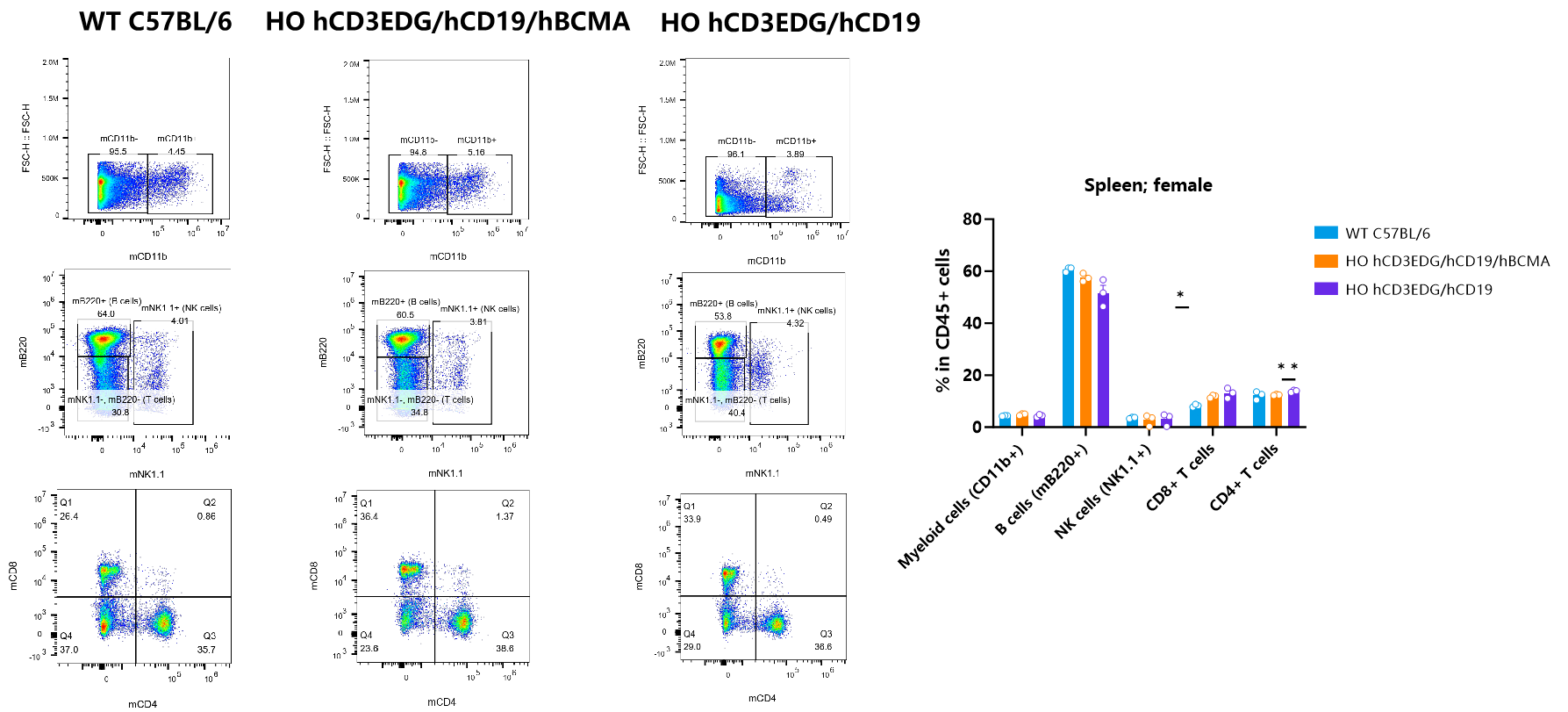 CD3/CD19/BCMA 从肿瘤免疫到自身免疫性疾病的多面利器