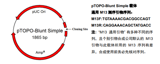 零背景pTOPO-Blunt Simple平末端克隆试剂盒/