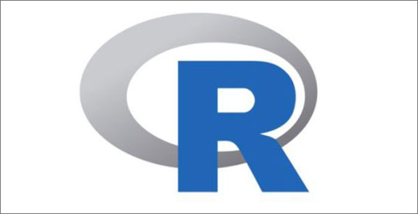 如何构建高效稳定的R语言统计计算环境？