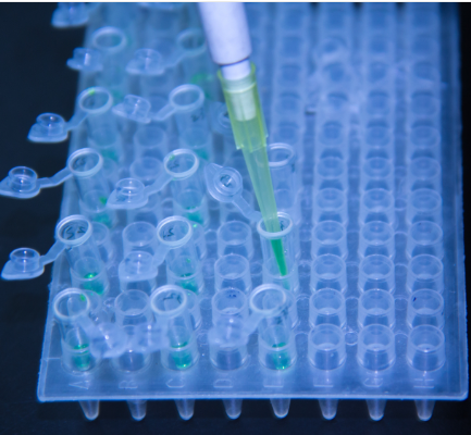 ELISA实验中有哪些常见人为误差