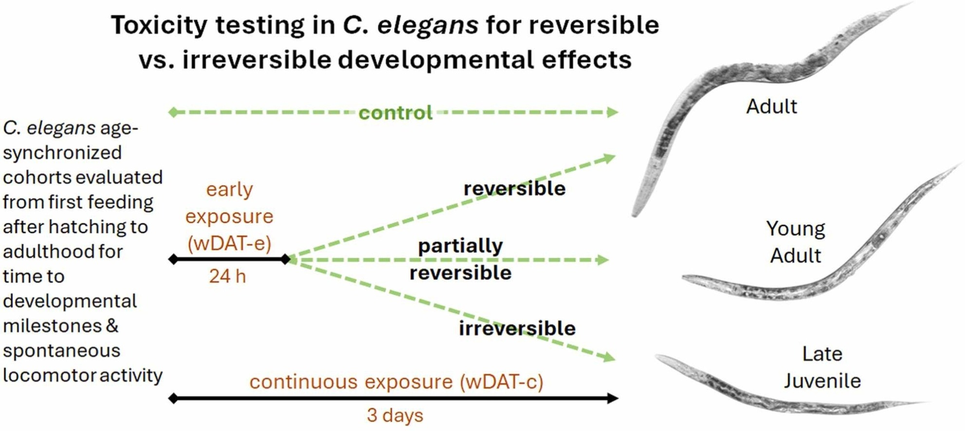 WMicrotracker小动物活动力分析系统文章分享，美国FDA毒理部发表在Toxicology Reports 中名为The Caenorhabditis elegans worm Development and Activity Test (wDAT) can be used to differentiate between reversible and irreversible devel