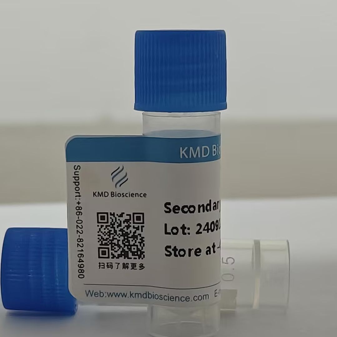 HRP标记山羊抗兔IgG(H+L)