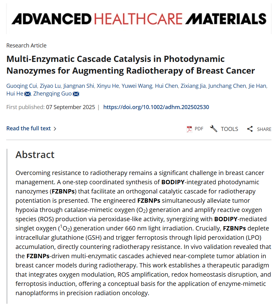 文献解读丨苏州大学郭正清团队揭示光动力纳米酶（FZBNPs）可通过正交催化级联增强乳腺癌放疗效果