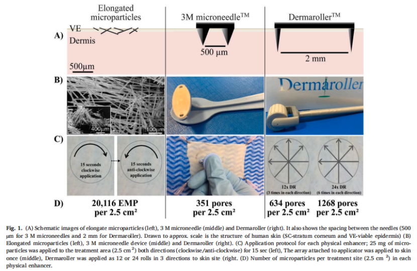 文献分享 | 甲基氨基乙酰Propionic acid（mALA）微针给药渗透效率的比较研究