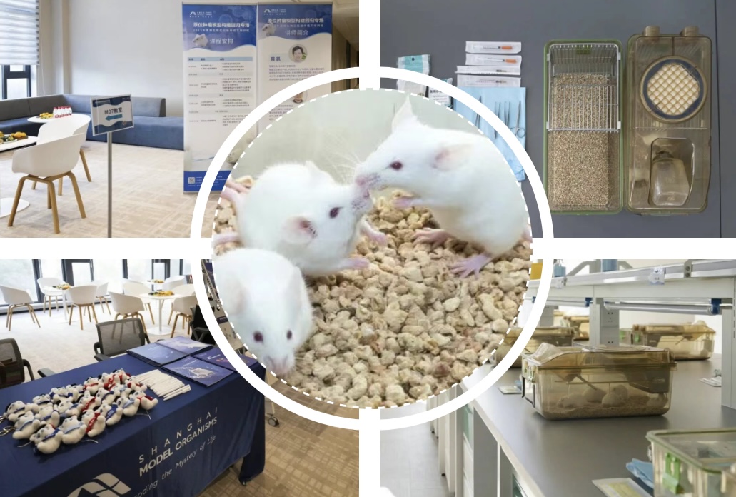 原位肿瘤模型构建回归专场活动精彩回顾