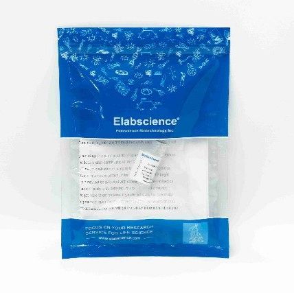 告别非特异性结合！Elabscience 山羊抗小鼠IgG(H+L)，助力实验高效产出