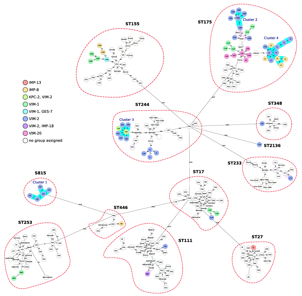 一文读懂微生物基因组分型方法