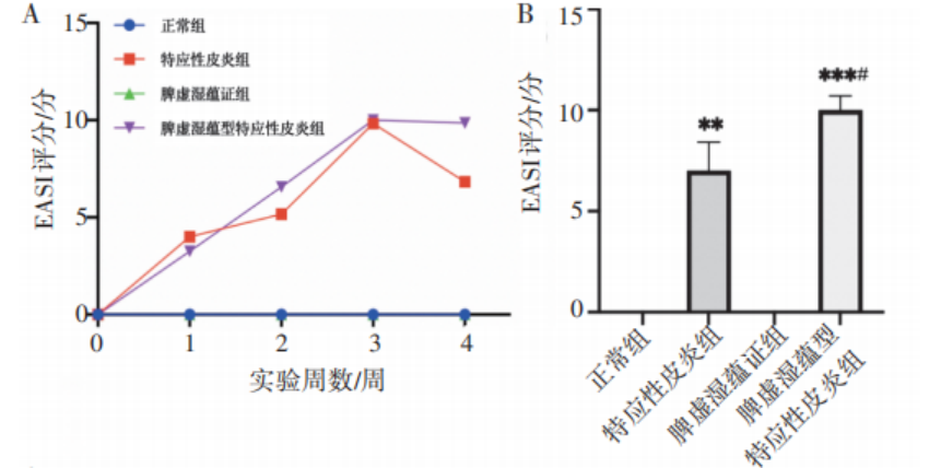 研究进展 | 如何构建特应性皮炎脾虚湿蕴证小鼠模型