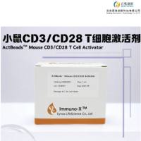 小鼠CD3/CD28T细胞激活剂