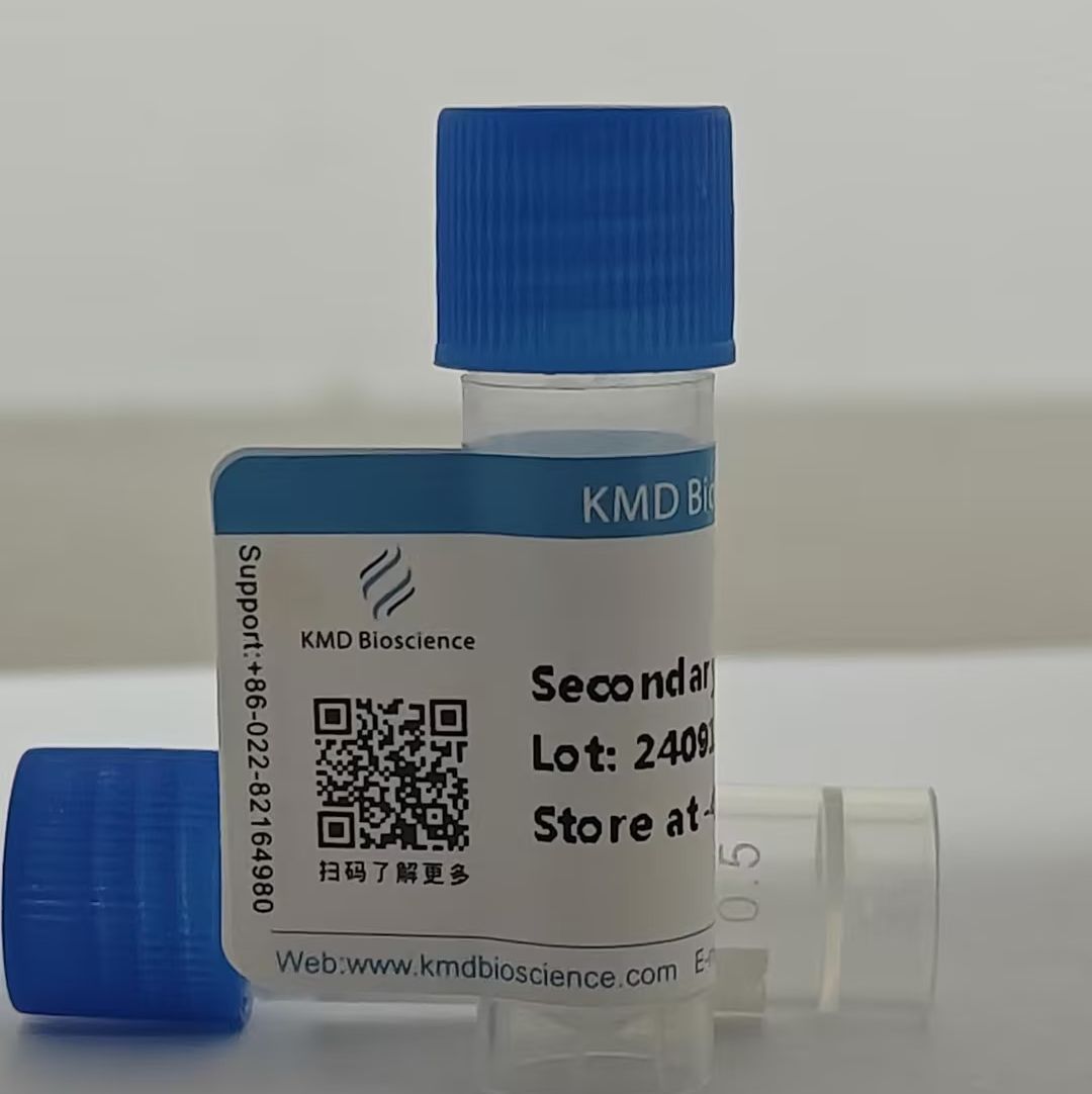 小鼠抗人IgG2（Monoclonal Mouse Anti-Human IgG2）