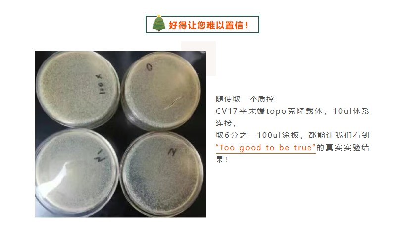 零背景pTOPO-Blunt Simple平末端克隆试剂盒/