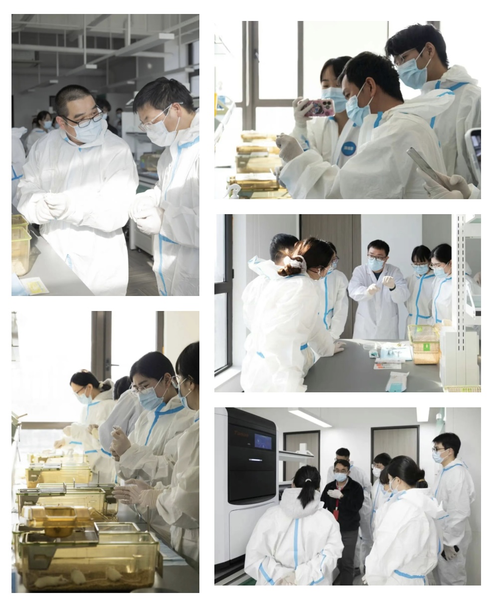 原位肿瘤模型构建回归专场活动精彩回顾