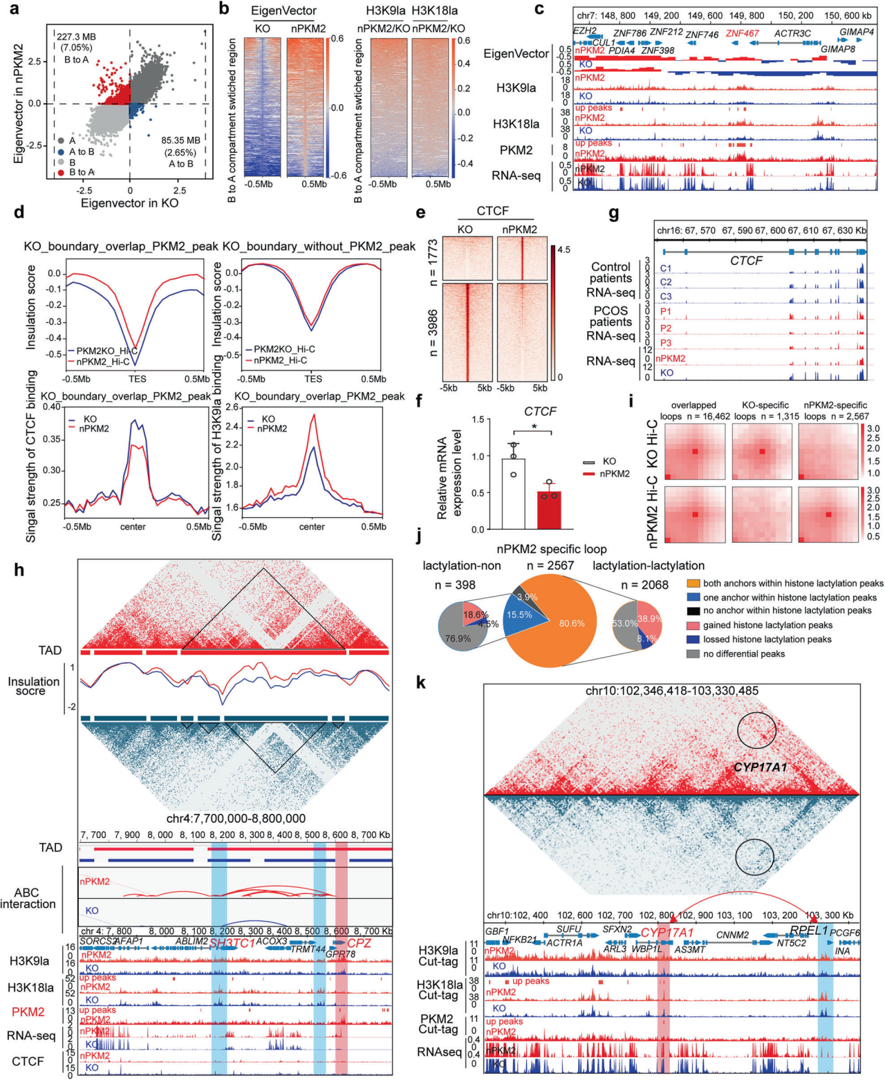 IF=52.7！黄荷凤院士团队等揭示PKM2介导组蛋白乳酸化调控多囊卵巢综合征机制