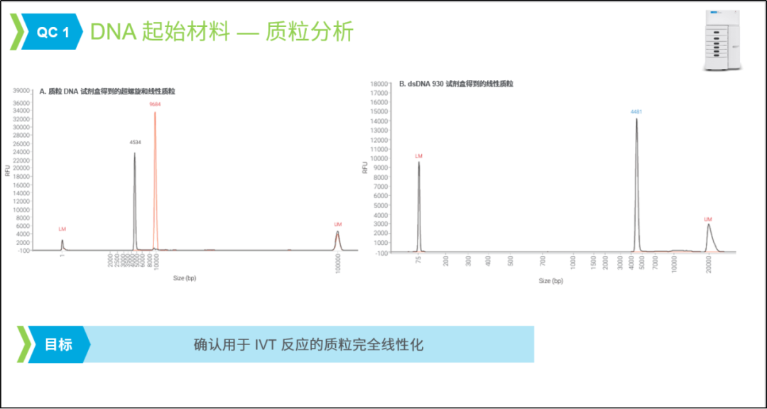 解锁 in vivo CAR-T 关键的一环：mRNA 质控