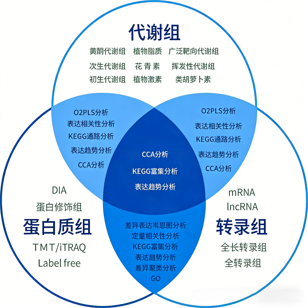 多组学数据整合分析：生物医学研究的范式变革