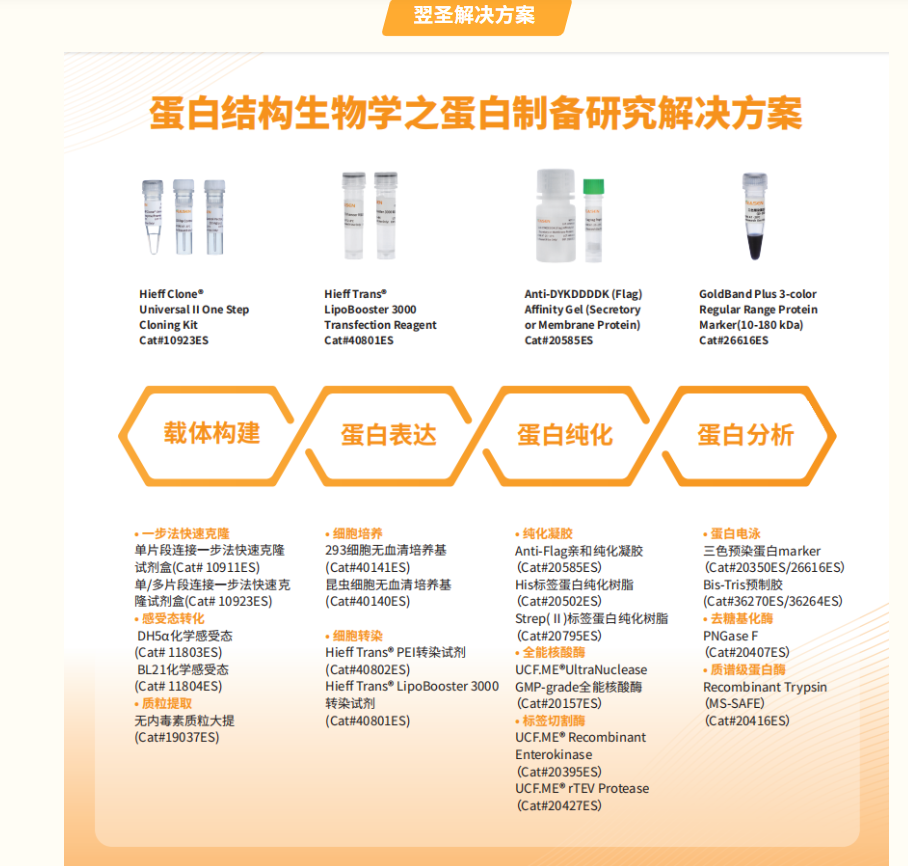 邀请函 | 翌圣生物邀您同赴江城！共襄第十四届大核酸-蛋白化学生物药物论坛！