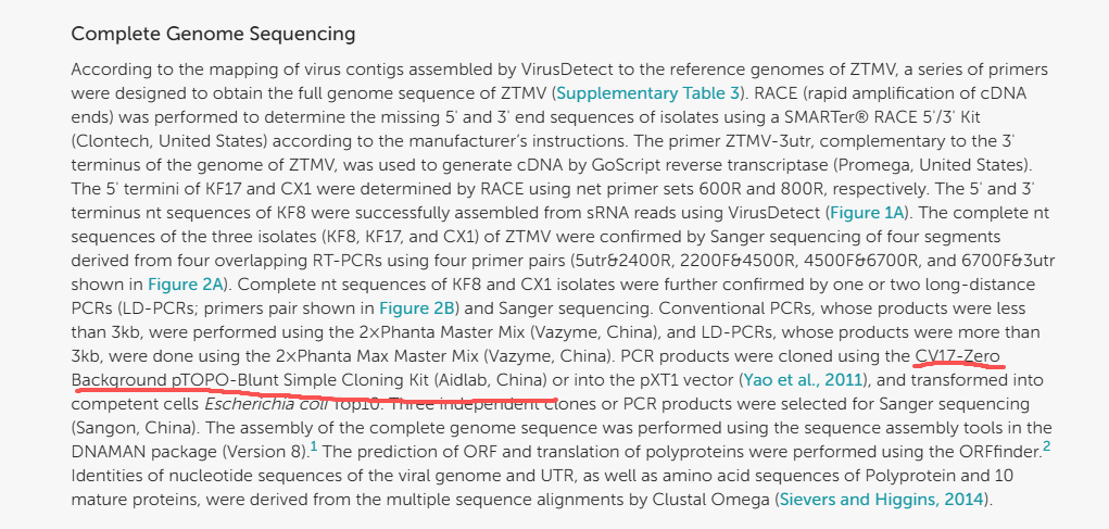 零背景pTOPO-Blunt Simple平末端克隆试剂盒/