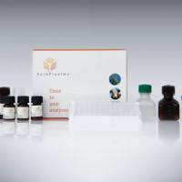 EuroProxima Fluoroquinolones II (氟喹诺酮类检测试剂盒 II)