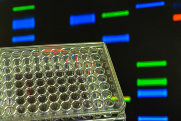 如何判断ELISA最佳浓度是否确定