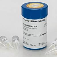 Roche货号3335402001现货Protector RNase抑制剂19121878899上海睿安生物