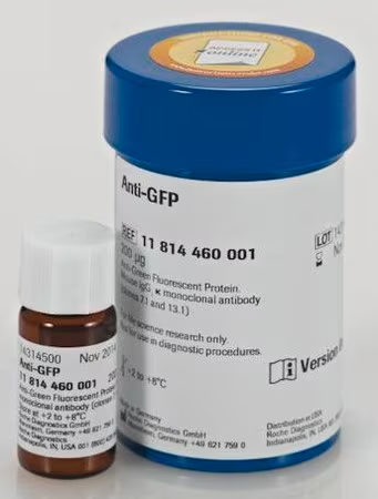 Roche货号11814460001抗-GFP(别名:抗-绿