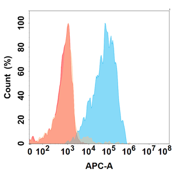 IL5 Antibody抗体，orb1471679，bior