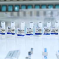 冰冻人血清中总胆红素标准物质