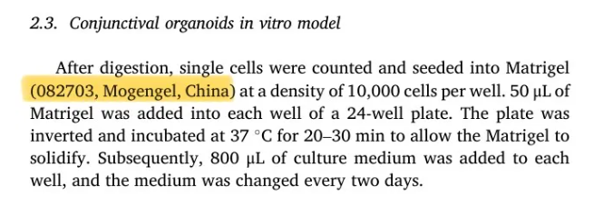 金牌基质胶 低生长因子 无酚红