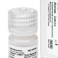 PowerUp SYBR Green预混液