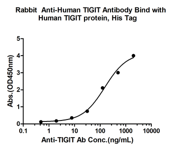 TIGIT Rabbit Polyclonal Antibo