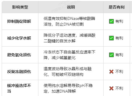 长期冷冻对PCR产物降解影响