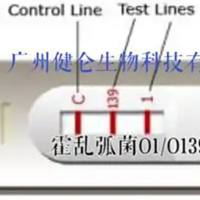 霍乱O1/O139快速检测试剂盒说明书