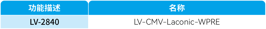 【新品-乳酸探针Laconic】科研人员基于FRET原理开发实时检测单细胞内乳酸浓度与通量的基因编码探针Laconic