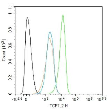 TCF7L2 Recombinant Rabbit Mono