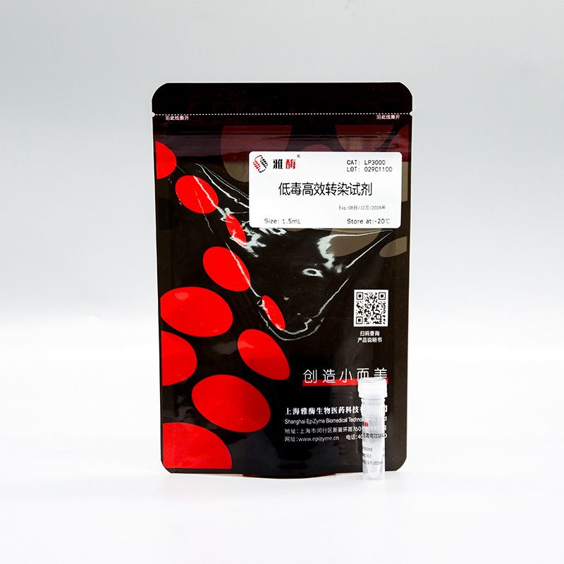 LP3000 低毒高效转染试剂