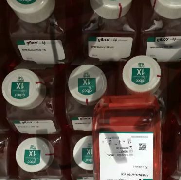 DNA free DNA去除试剂盒