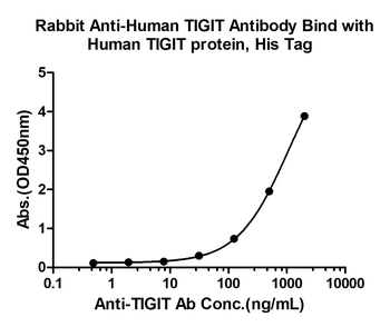 TIGIT Rabbit Polyclonal Antibo