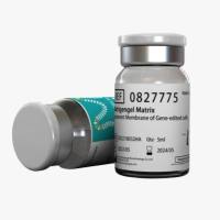 干细胞 金牌基质胶